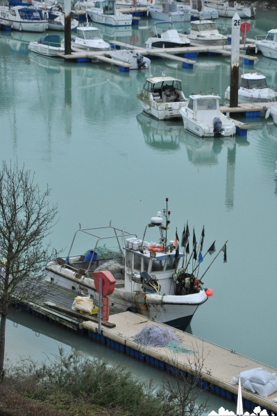 Saint-Valery-en-Caux  - Le port  vue  de l'hôtel